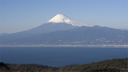 静岡県東部支部