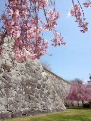 岩手県支部