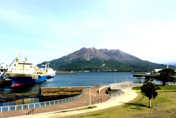 鹿児島県支部